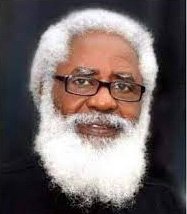 H.E. Akinyemi Farounbi